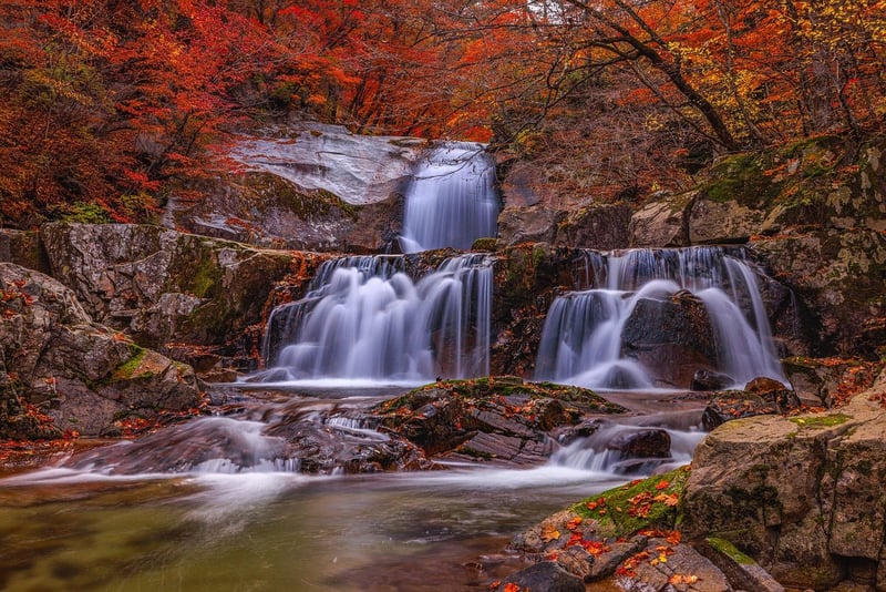 Nature's Beauty